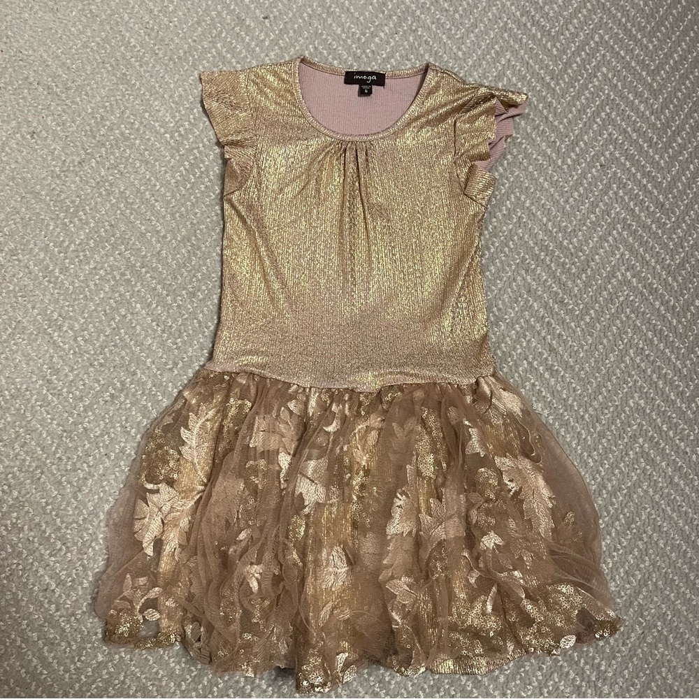 Imoga Tulle Dress 6